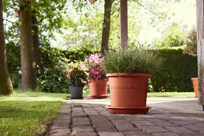 algarve cilindro 30cm terre cuite